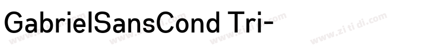 GabrielSansCond Tri字体转换